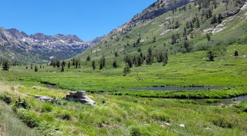 Lush Lamoille Canyon. A wet place in Nevada, the driest U.S. state.