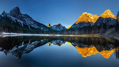 Golden Sunrise