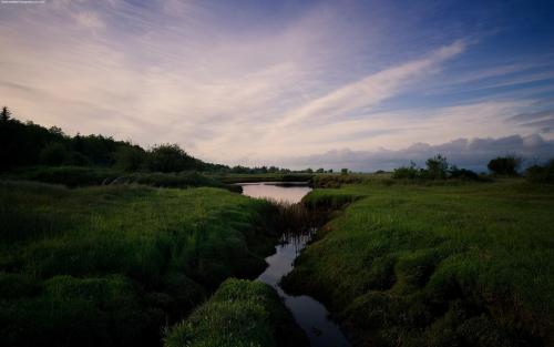 Marshland Sunset