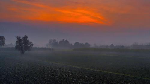 Foggy landscape at sunset in Maranello, Italy. The land of Ferrari, Lamborghini, Ducati, balsamic vinegar, tortellini and Pavarotti