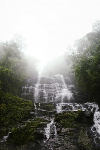 amicalola falls, georgia.