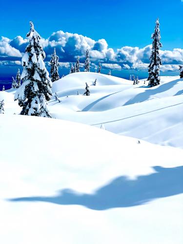 Mt. Seymour, Vancouver, Canada