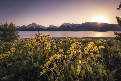 Daydreaming in Grand Teton National Park  @madisonkobold