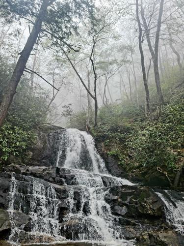 Laurel Falls Trails waterfall. Great Smoky Mountains National Park.TN. OC