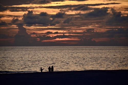 Sarasota, FL