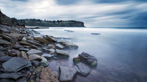 Whale Beach II