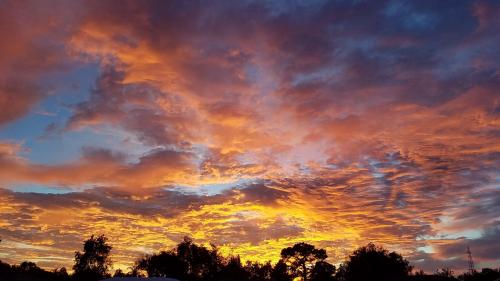 Venice, FL