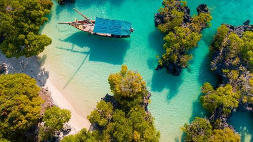 Zanzibar Island