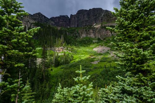 Bits of sunshine in the Rocky Mtns, USA