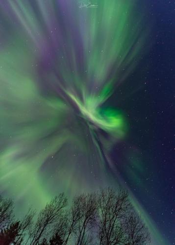 Dancing Aurora Borealis over northern Saskatchewan, Canada