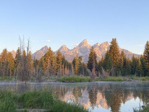 Grand Teton National Park - Schwabacher Landing, Moose WY