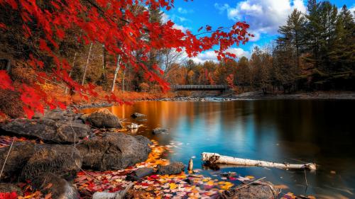 Driving Every Sunday For 10miles To This Fishing Spot Is Worth It |