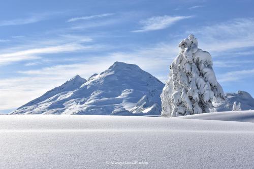 Mt Baker, WA   @alwayslocalphotos