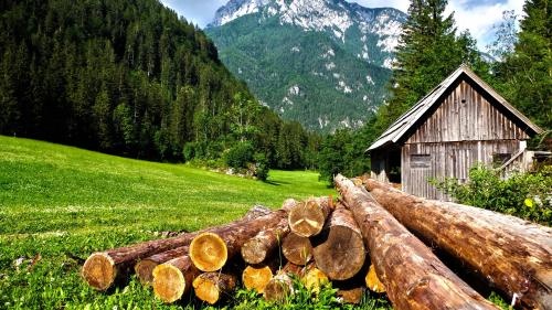 Brown Logs on Grass Field