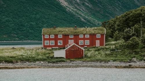 Beach house with Green Roof, Lafoten, Norway