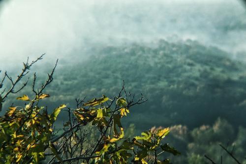 Morning Autumn Nature in Northern Greece