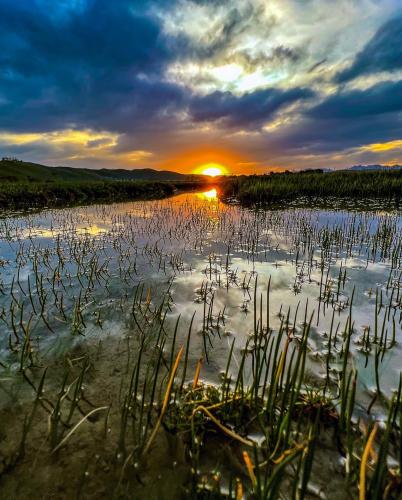 Knysna Estuary, Brenton on Lake, Knysna, South Africa