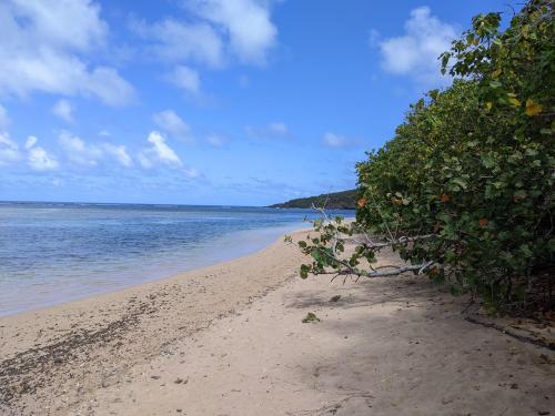 La Matita Beach, Puerto Rico