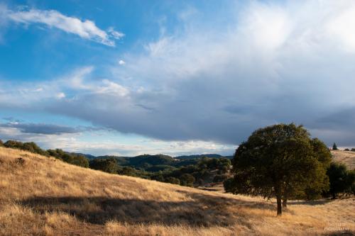 Amador County, CA