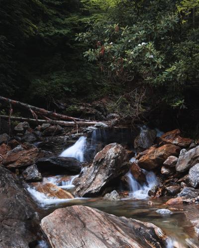 Yellowstone Prong, Mountains-to-Sea trail, NC