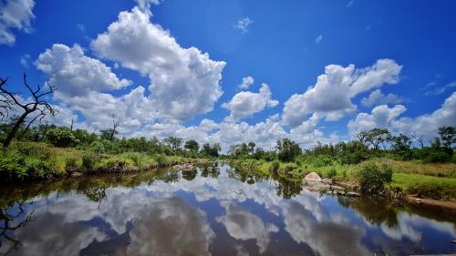 Kruger National Park, South Africa