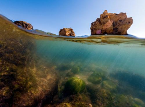 Just below the surface, Praia dos Arrifes, Portugal