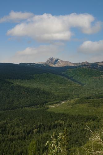 East Glacier National Park, August 2021.