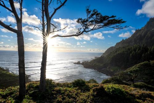 Cape Perpetua, Oregon