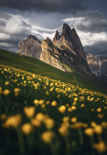 Summer in the Dolomites