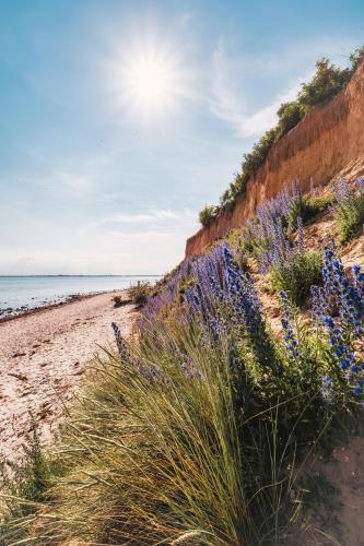 Late afternoon on the beach of Fehmarn, Germany