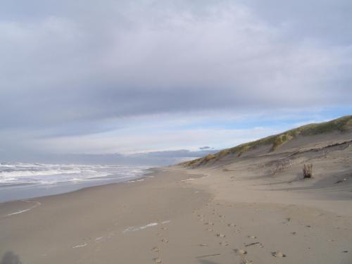 Only footsteps, Texel, Nederland