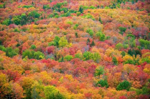 Add it to the stack of fall color photos. Lutsen, Minnesota