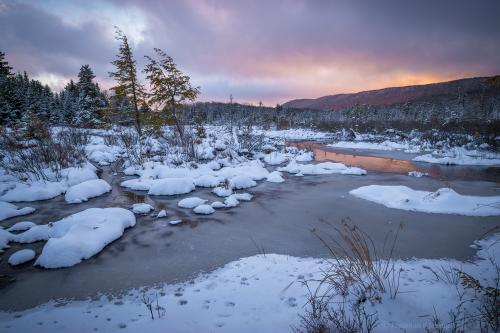 Snowy wetlands in the WV Highlands, USA