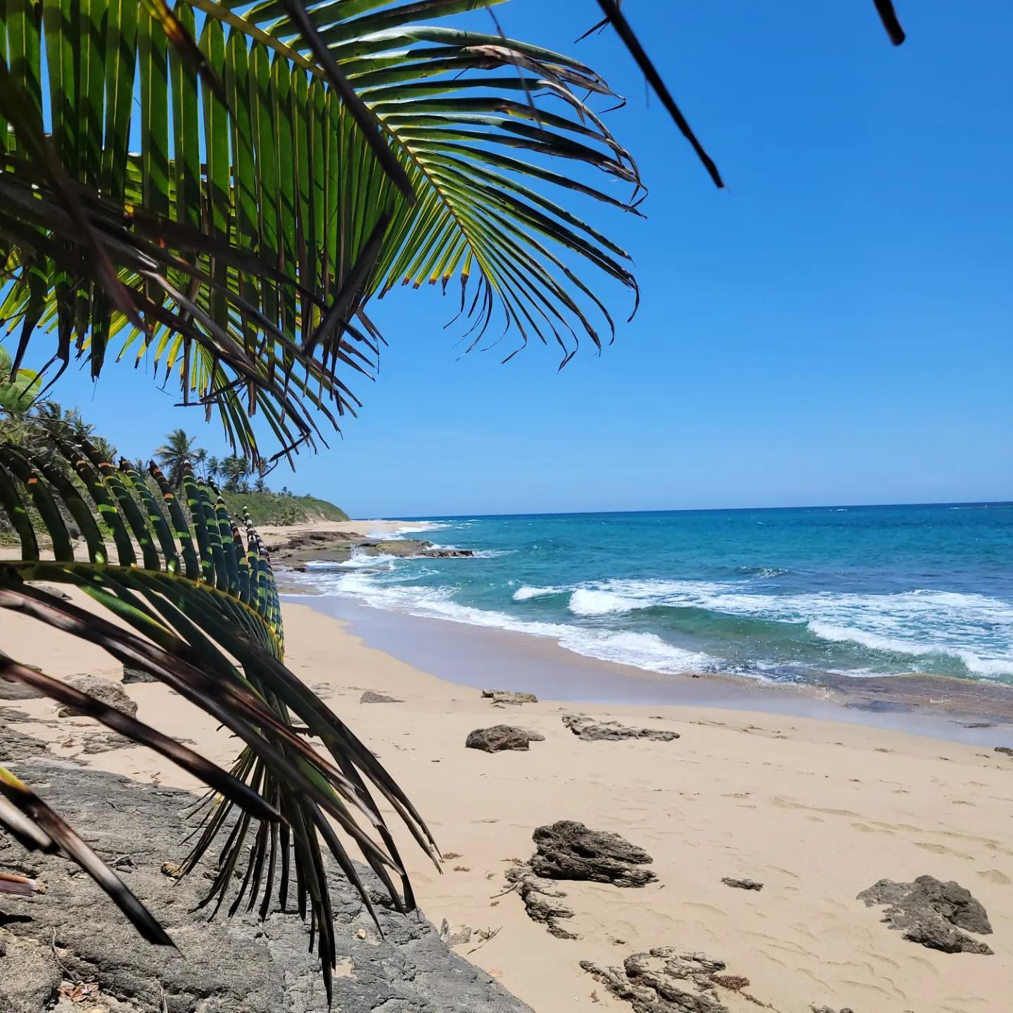 arecibo, Puerto Rico❤