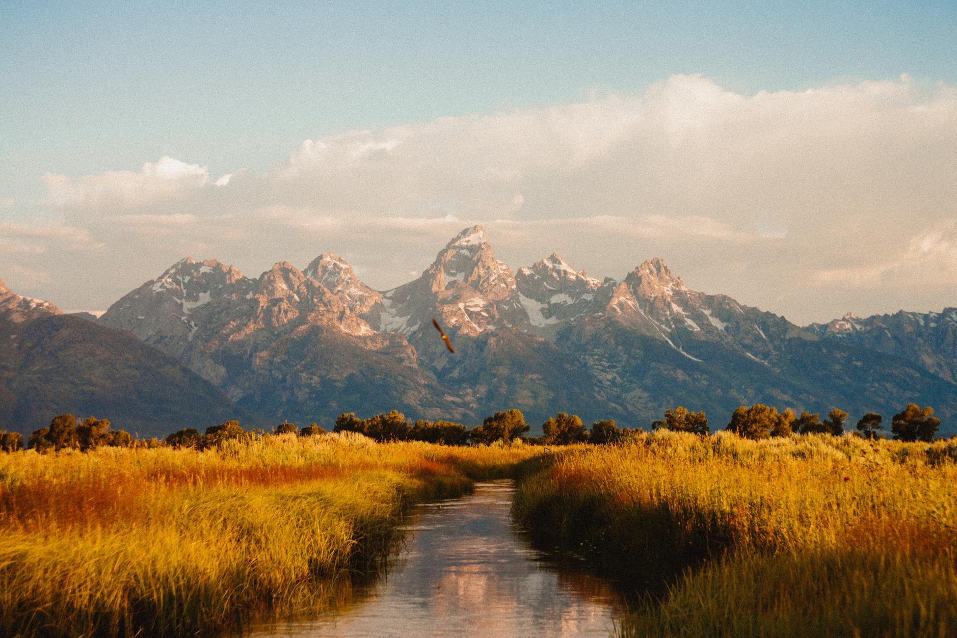 Wallpaper image