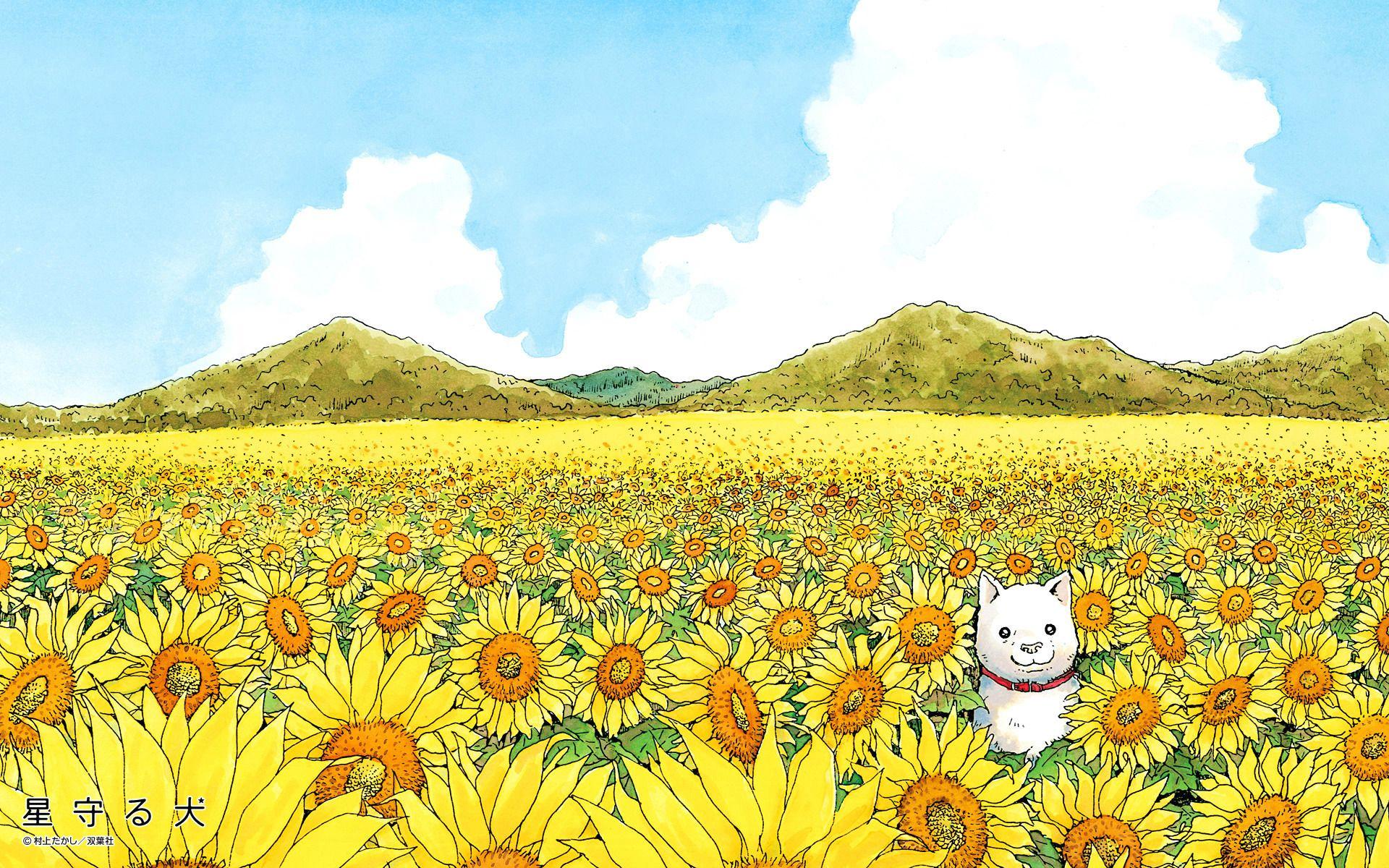 Wallpaper image