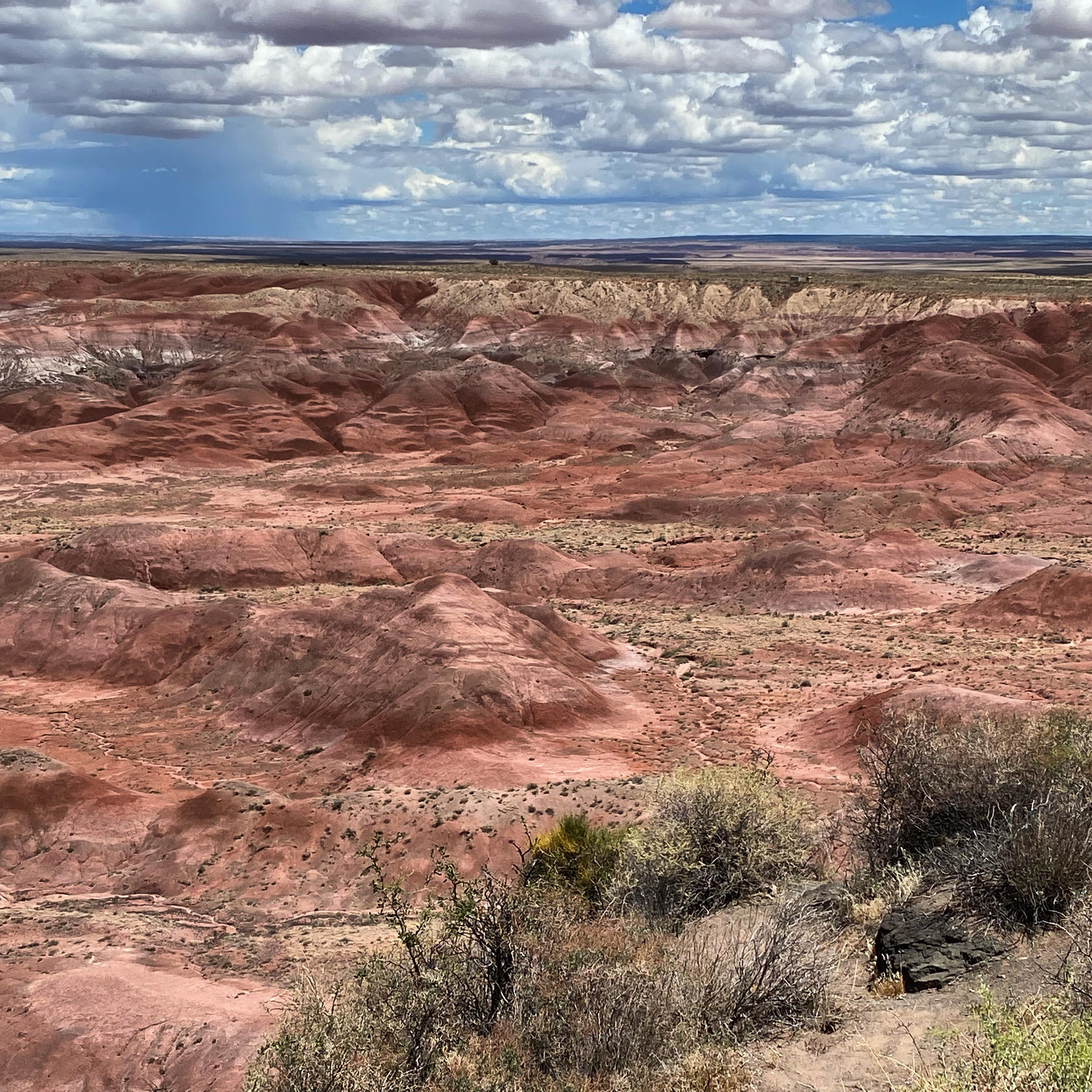 The painted desert, Arizona.  3024X3024