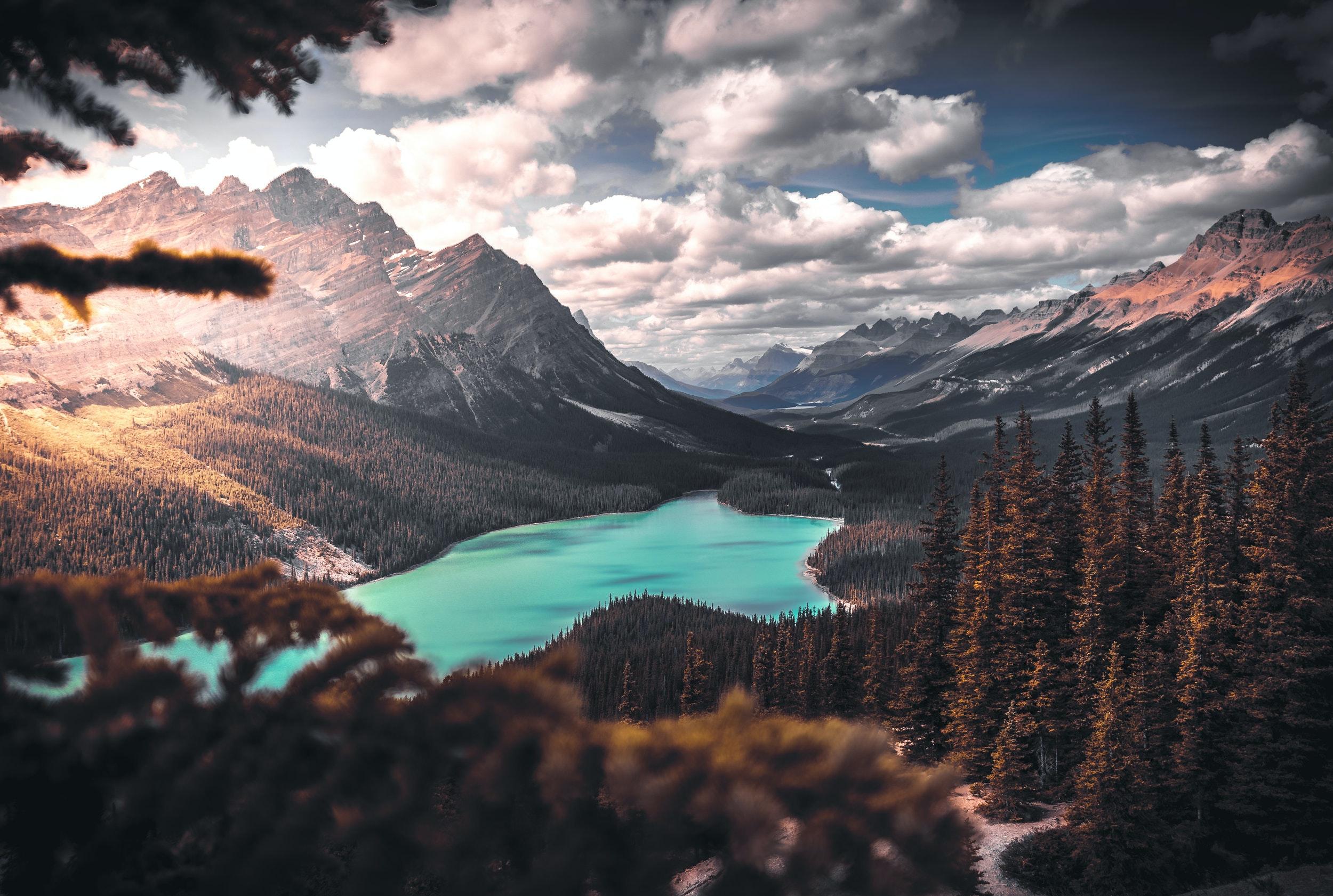 Wallpaper image