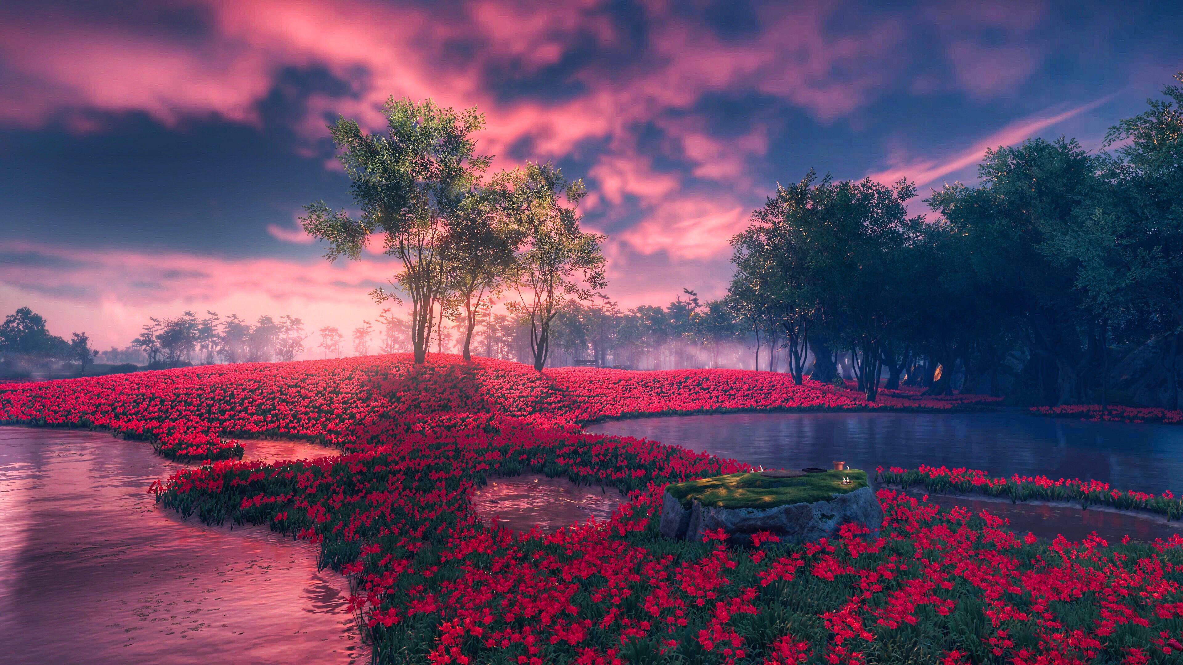 Wallpaper image