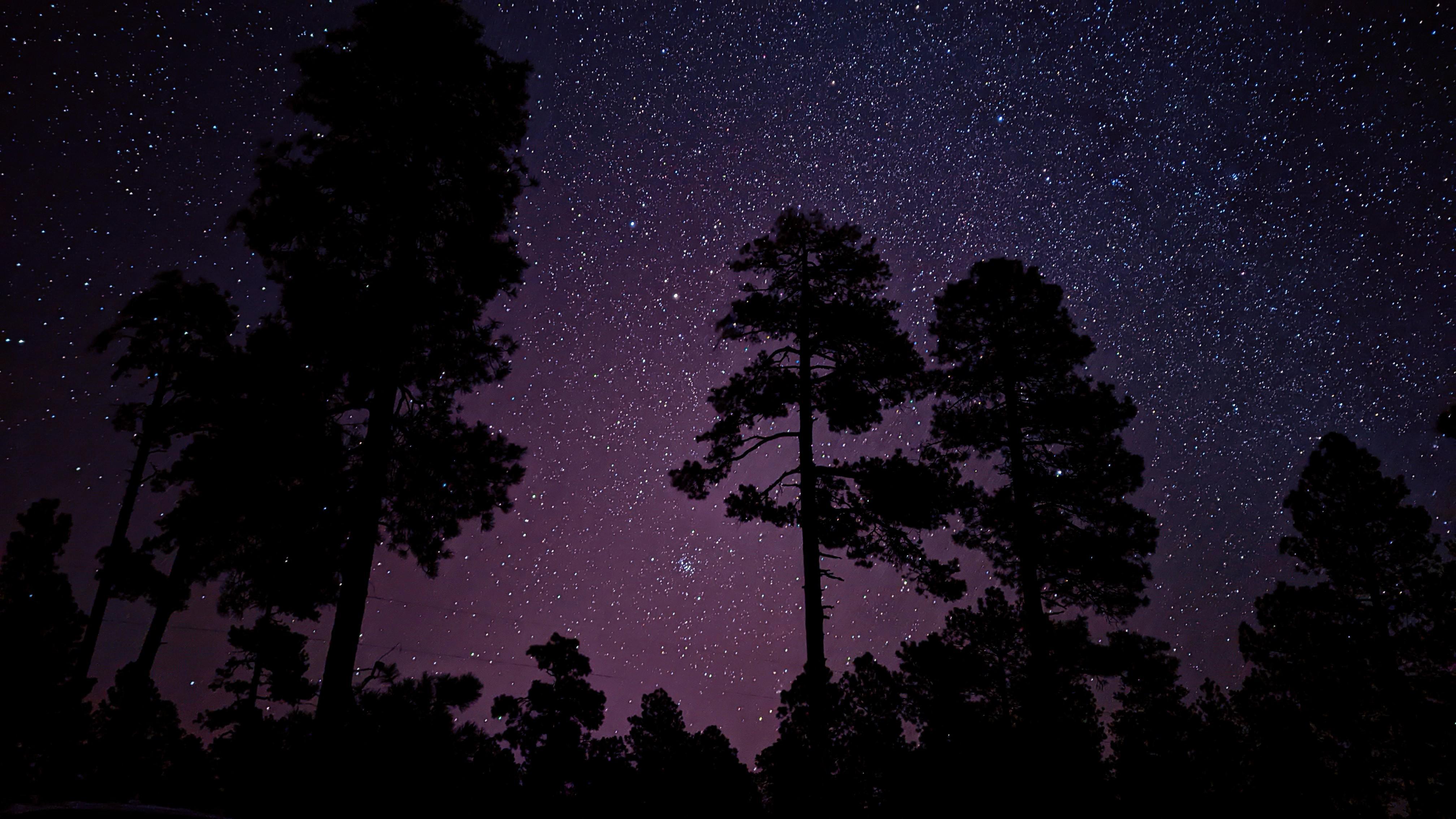 Wallpaper image