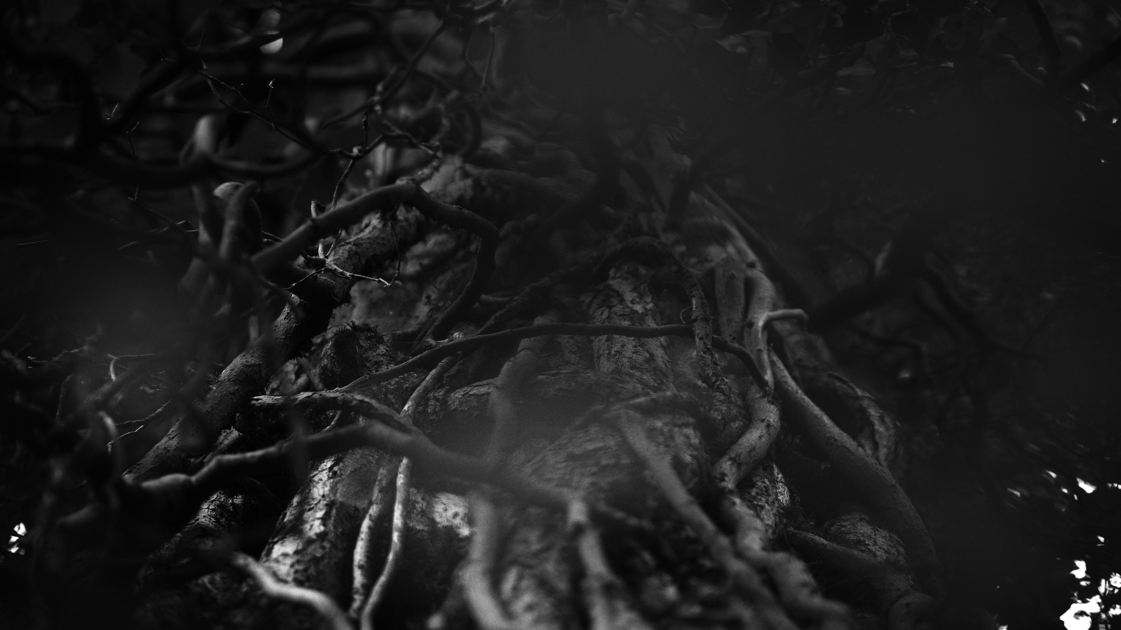 Wallpaper image