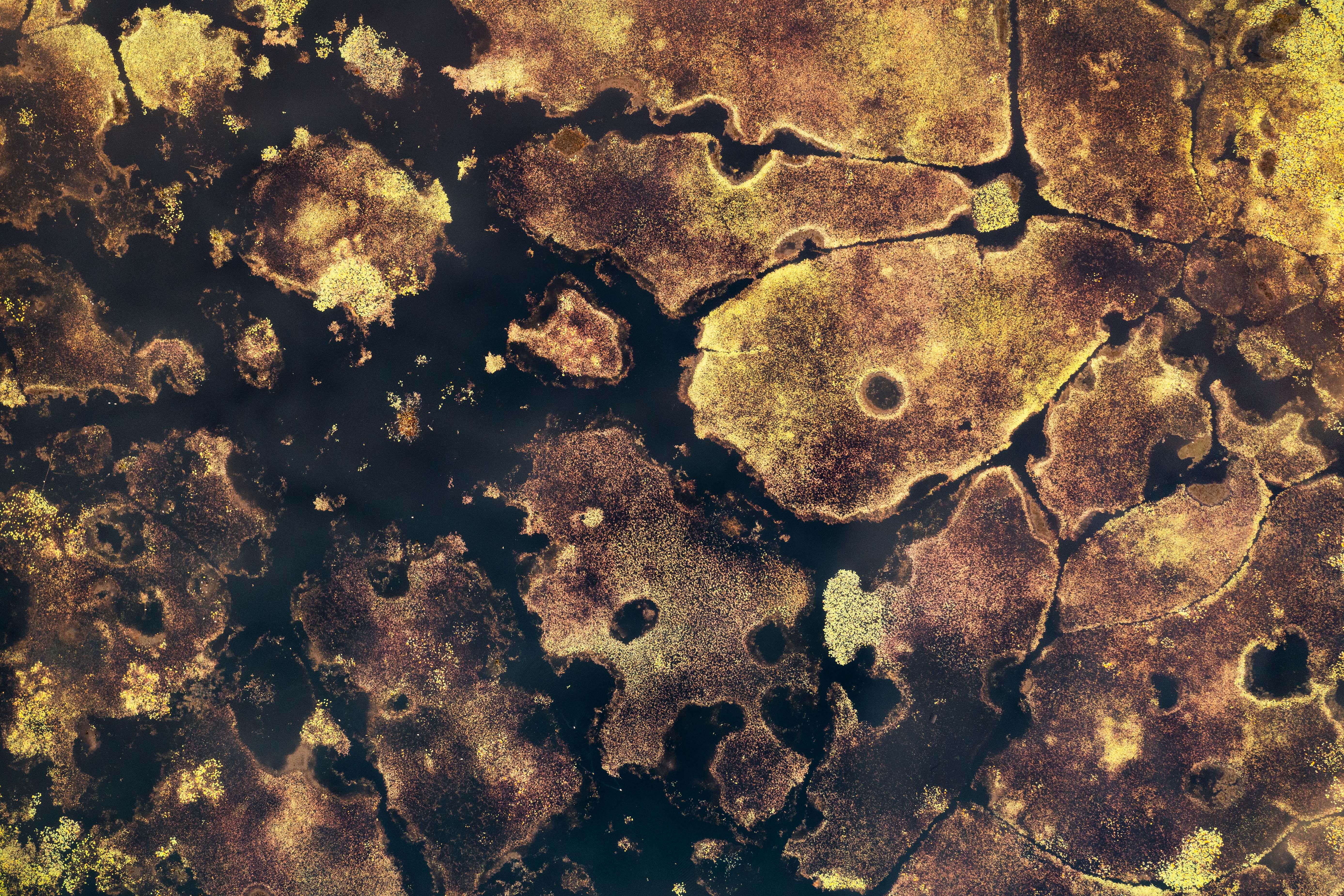 Wallpaper image