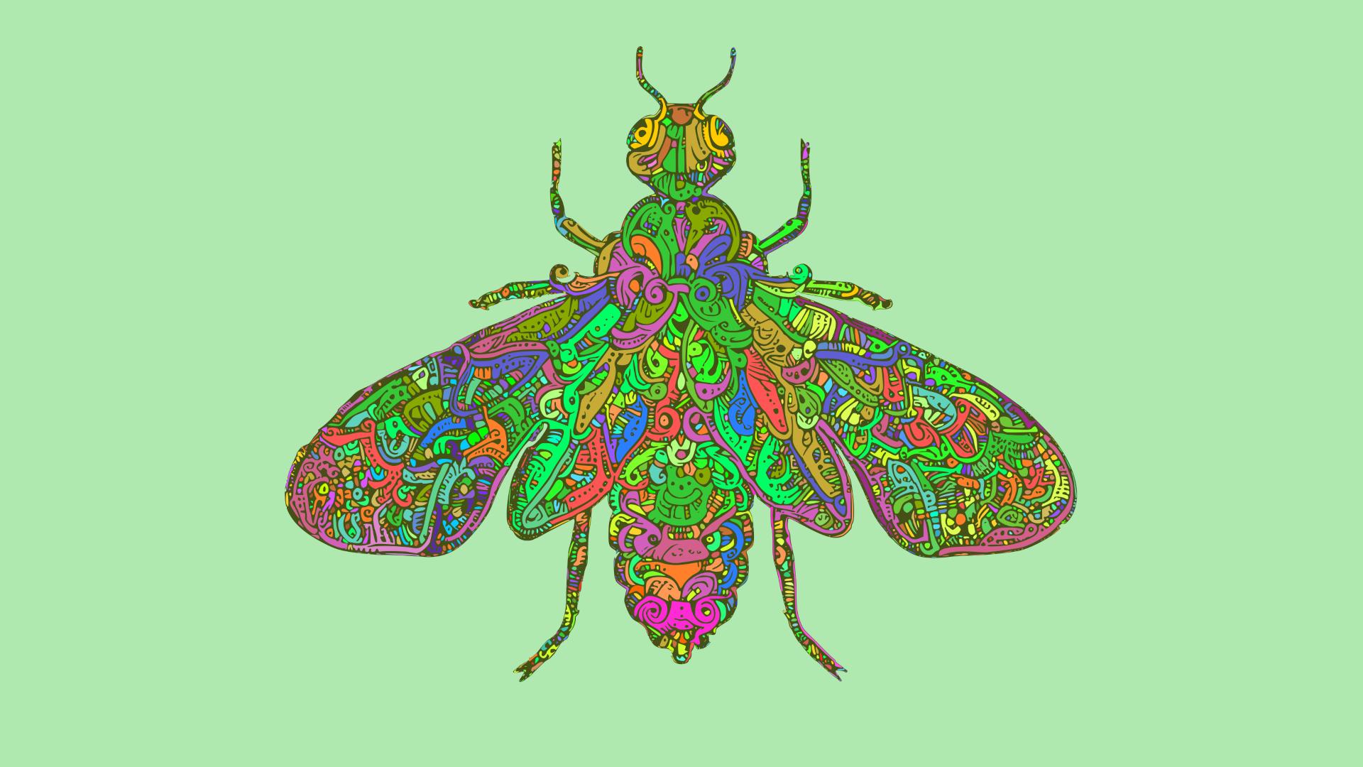 Wallpaper image