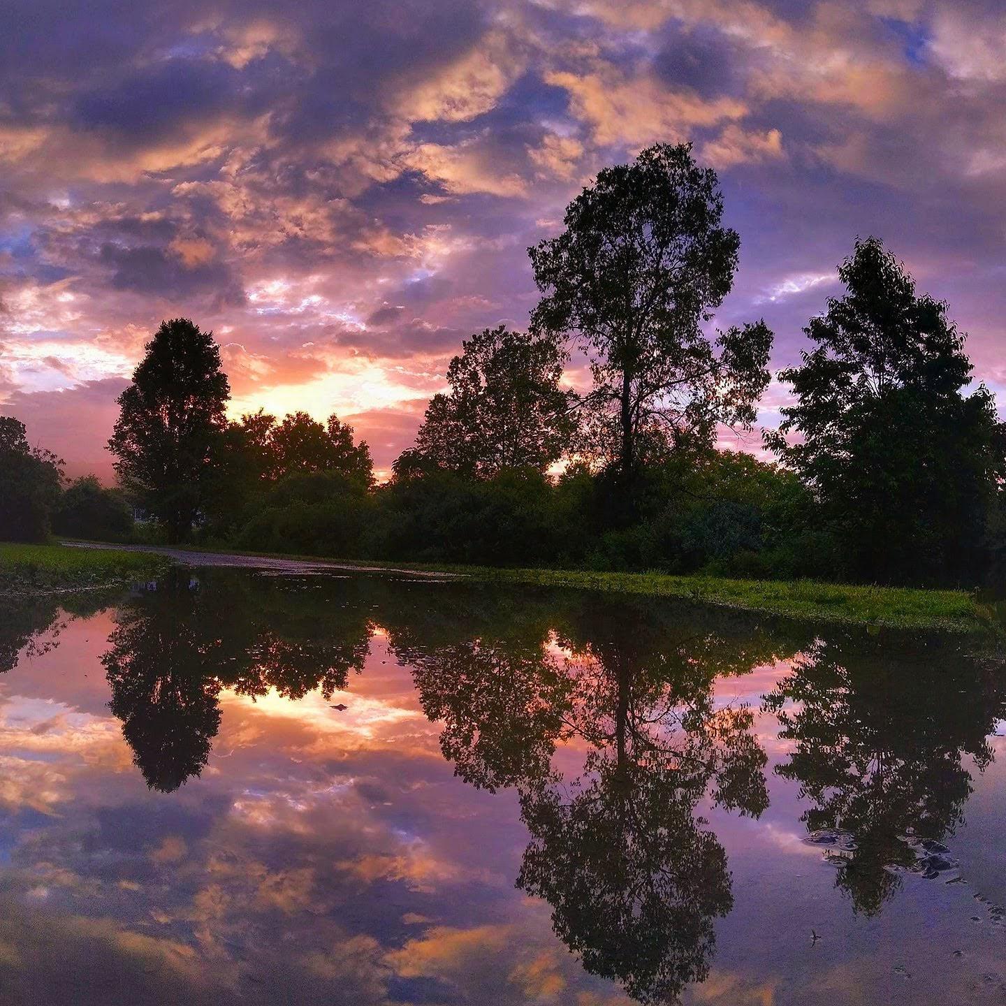 Sunrise over my flooded driveway this summer, NYS.