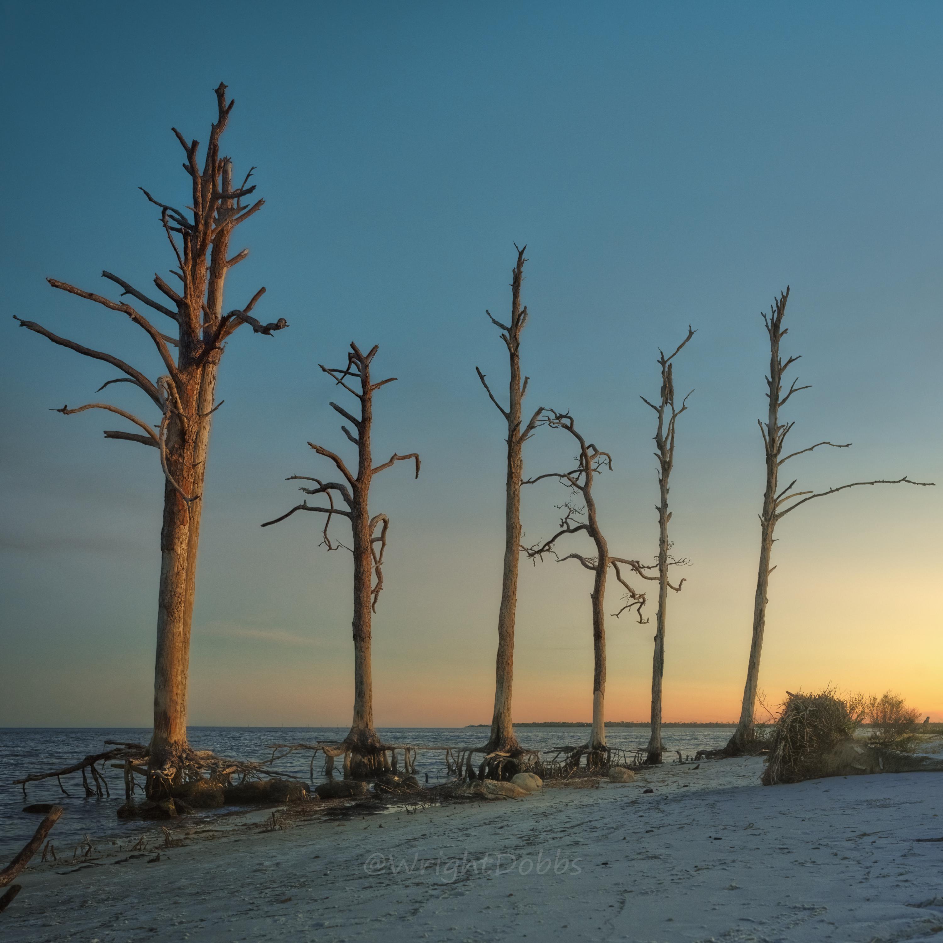 The Ever-Changing Beaches of Florida