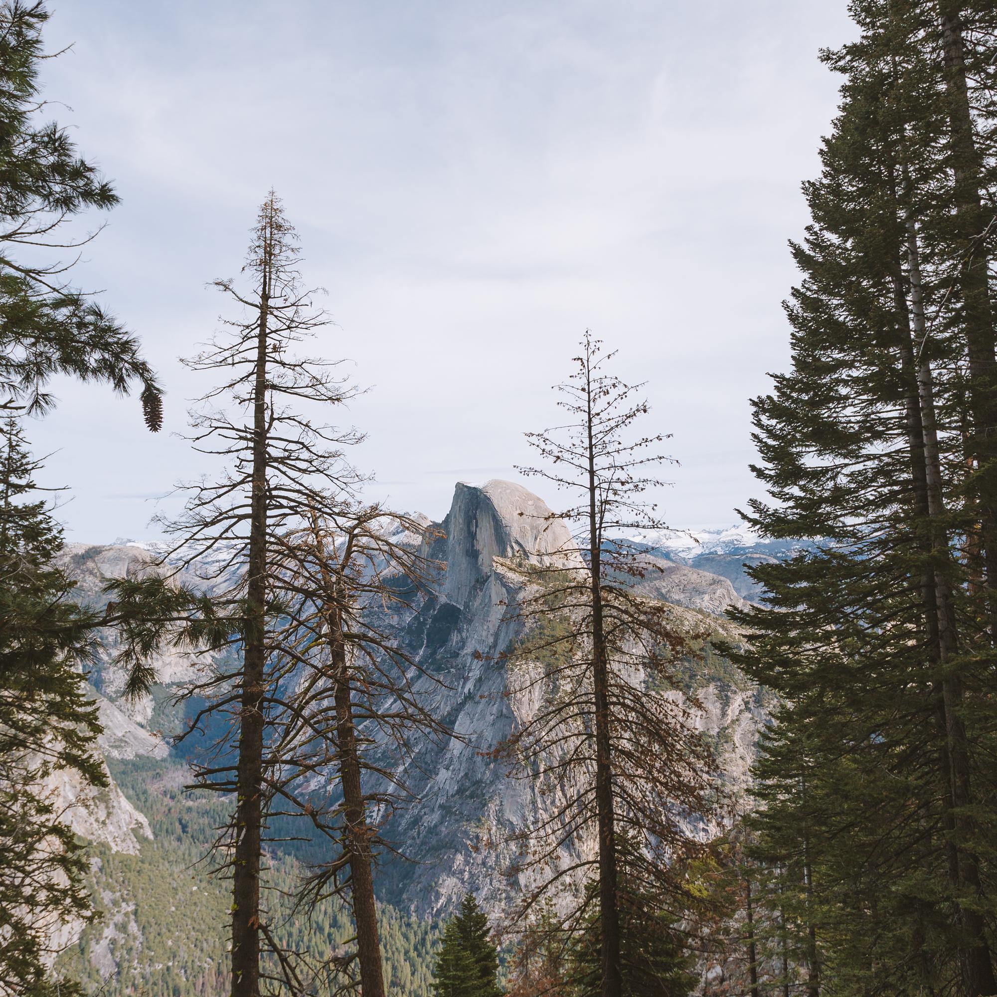 Half Dome, Yosemite National Park, CA